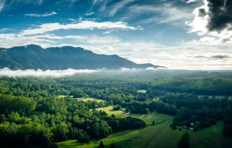 1010 Promised Land Road, Bellingen NSW 2454