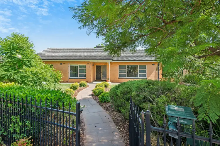 Main view of Homely house listing, 1 Holt Street, Netley SA 5037