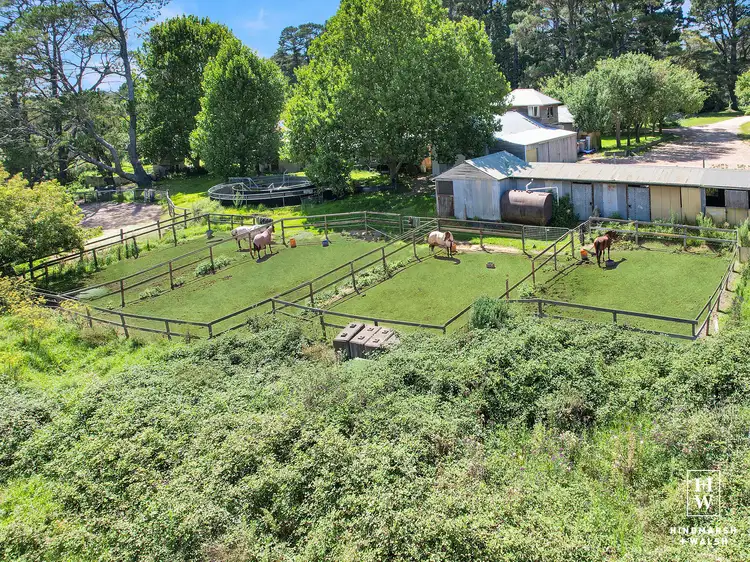 Third view of Homely rural property listing, 2544 Old Hume Highway, Woodlands NSW 2575