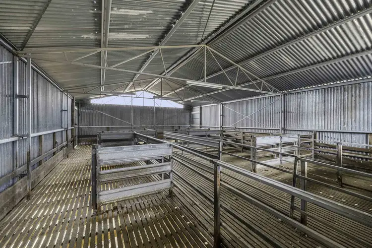 Third view of Homely rural property listing, 143 Blackmans Creek Road, Bigga, Crookwell NSW 2583