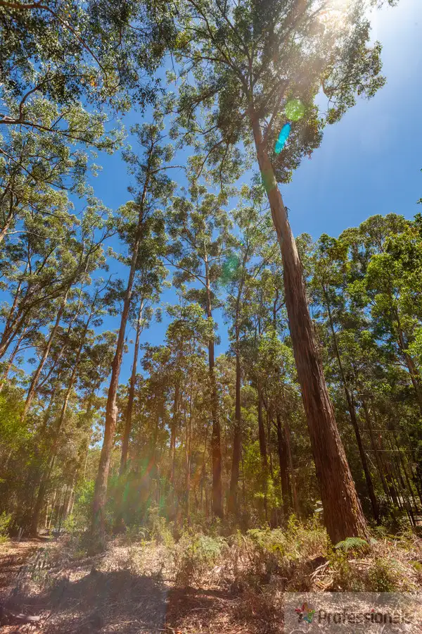 Seventh view of Homely land listing, Lot 113 Karri Lane, Quinninup WA 6258
