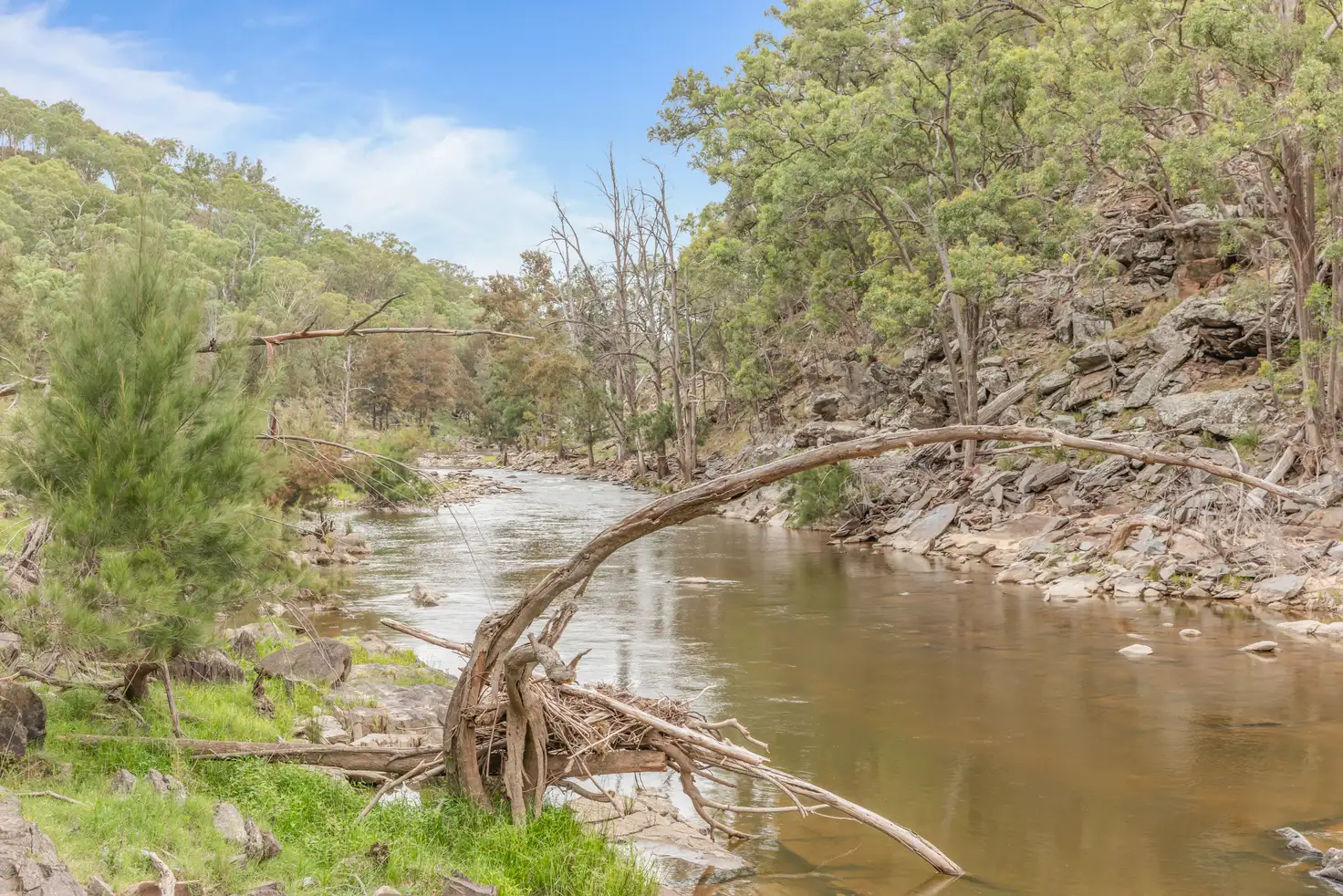 Main view of Homely rural property listing, LOT 1, 1735 Bridle Track, Bruinbun NSW 2795