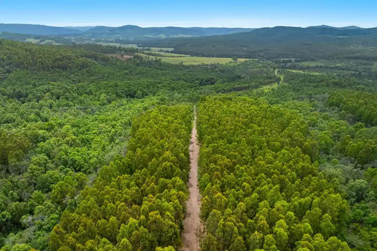 Third view of Homely rural property listing, LOT 18/31 Ryans Road, Lower Peacock NSW 2469