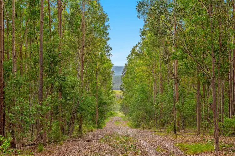 Fourth view of Homely rural property listing, LOT 18/31 Ryans Road, Lower Peacock NSW 2469