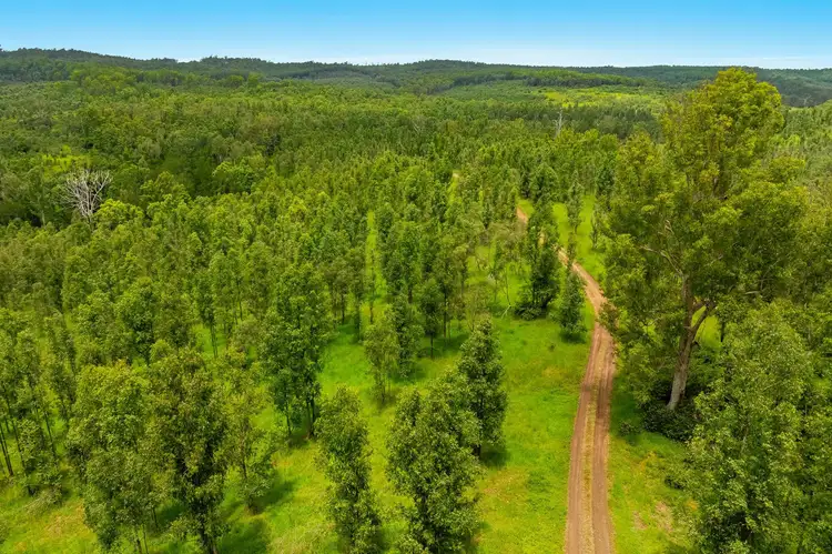 Sixth view of Homely rural property listing, LOT 18/31 Ryans Road, Lower Peacock NSW 2469