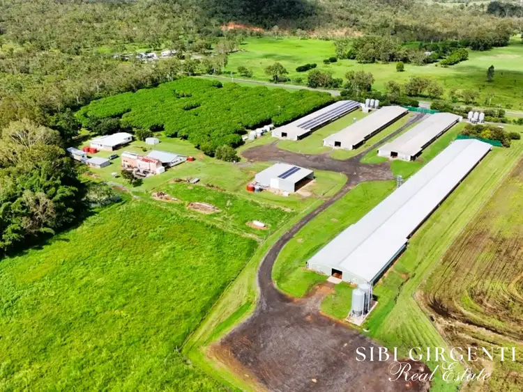 1004 Bilwon Road, Biboohra QLD 4880