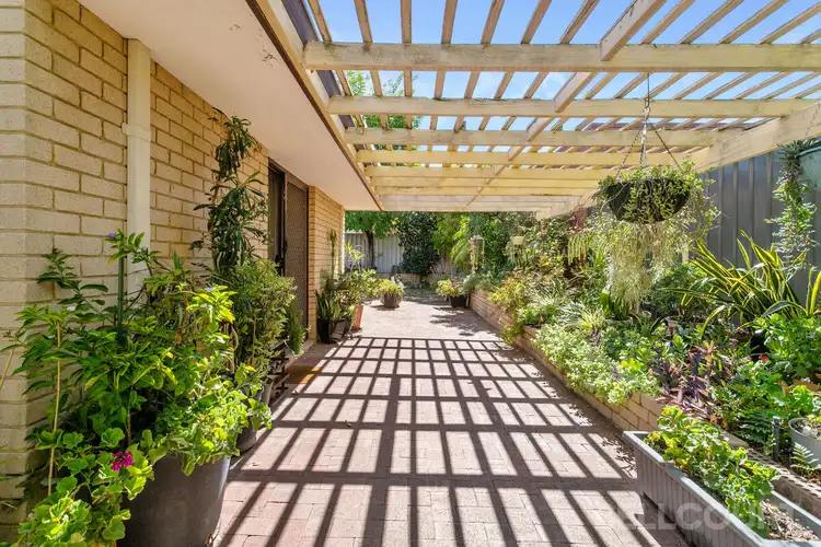 Sixth view of Homely house listing, 37 Joondanna Drive, Joondanna WA 6060