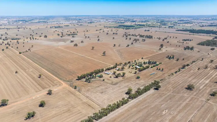 518 Drain Lane, Collendina NSW 2646