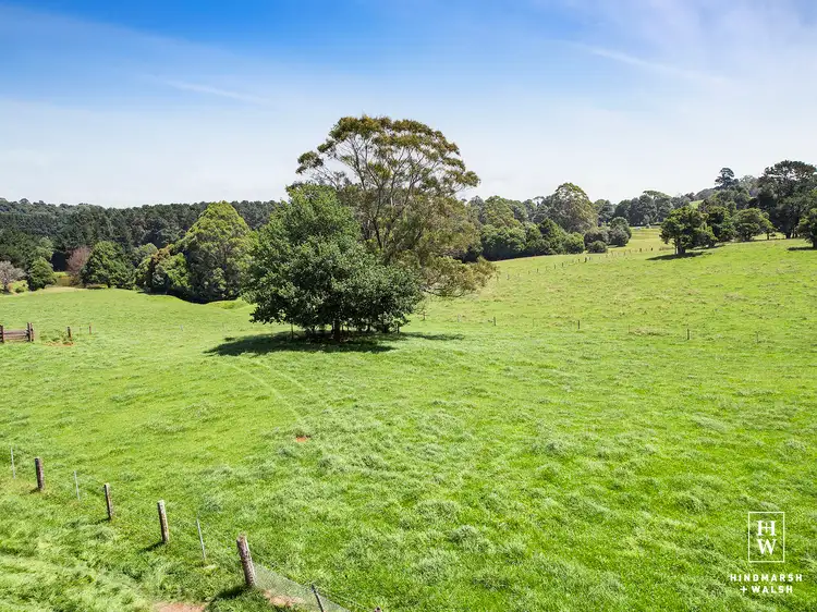 Fifth view of Homely rural property listing, 4985 Illawarra Highway, Robertson NSW 2577
