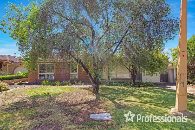 33 Pugsley Avenue