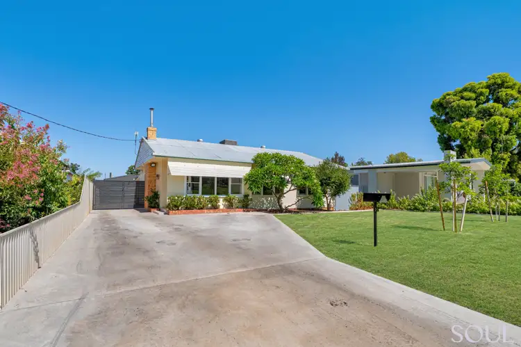 20 Thomson Street, Griffith NSW 2680