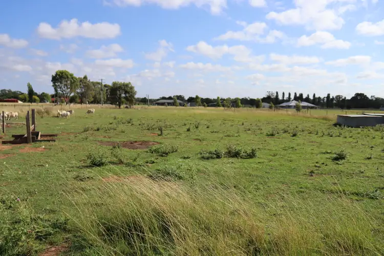 Fifth view of Homely house listing, 52 Tallawang Street, Gulgong NSW 2852
