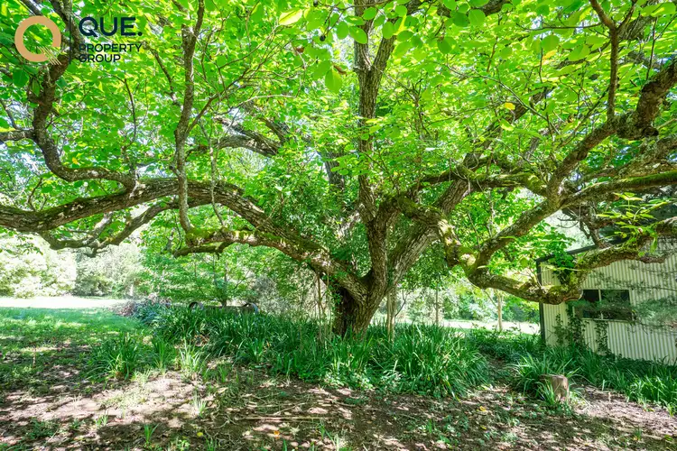 Third view of Homely land listing, 573 Morses Creek Road, Wandiligong VIC 3744