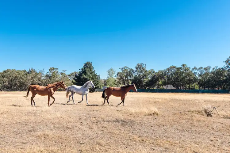 Third view of Homely land listing, 1365 Dandenong-Hastings Road, Langwarrin VIC 3910