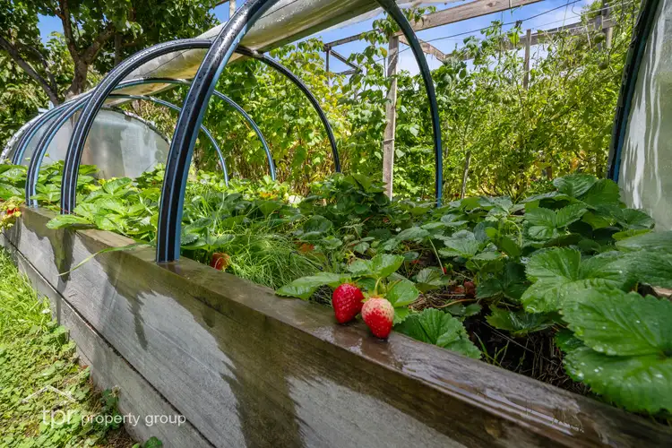 Second view of Homely house listing, 14 Pottery Road, Dover TAS 7117