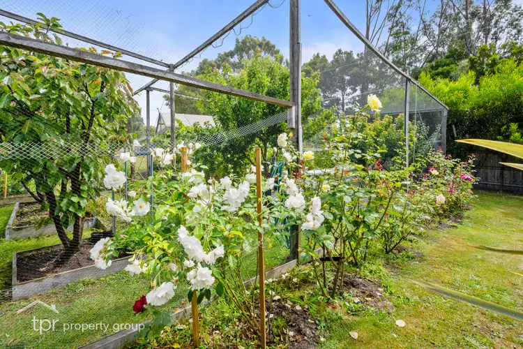 Fifth view of Homely house listing, 14 Pottery Road, Dover TAS 7117