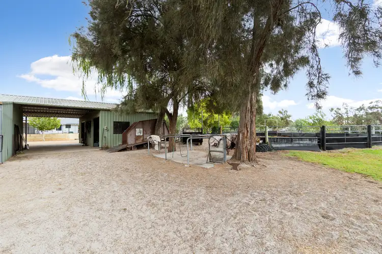 Seventh view of Homely house listing, 14 Carl Street, Muchea WA 6501