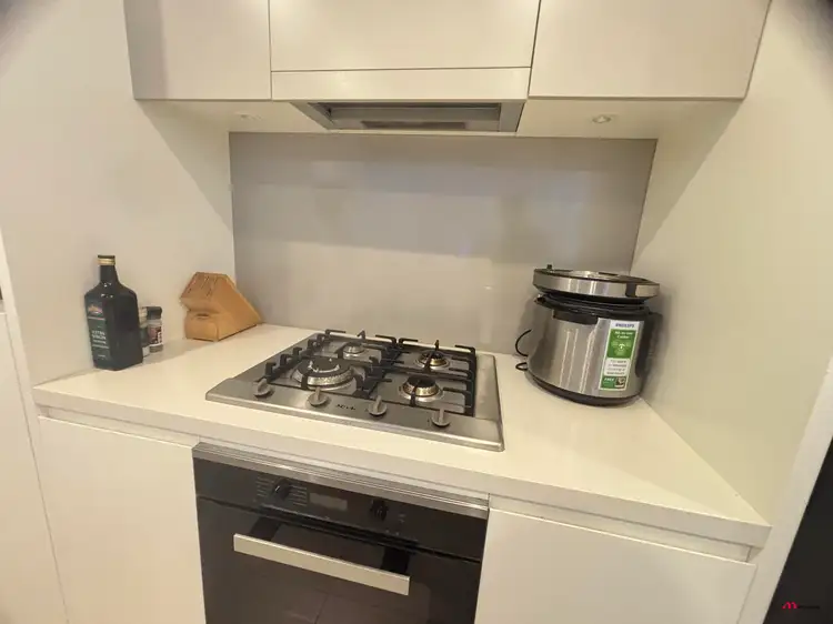 516/105 Ross Street, Forest Lodge NSW 2037