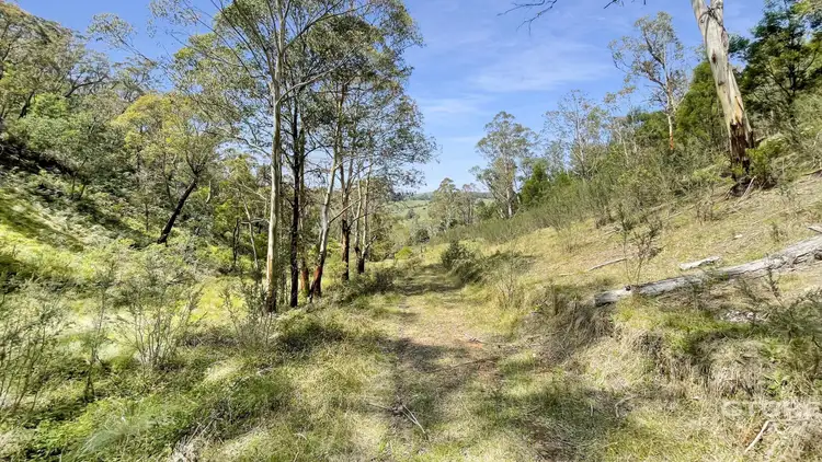 25 Warm Corners Track, Bonang VIC 3888