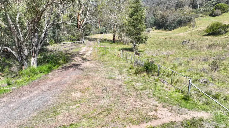25 Warm Corners Track, Bonang VIC 3888