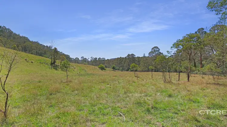 25 Warm Corners Track, Bonang VIC 3888