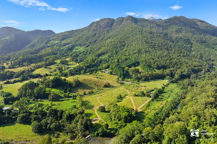 Third view of Homely rural property listing, 921 Tyalgum Road, Eungella NSW 2484