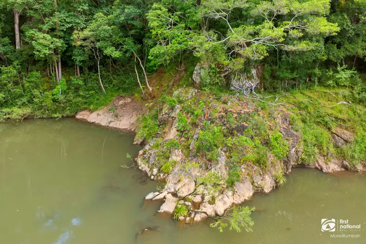 Fifth view of Homely rural property listing, 921 Tyalgum Road, Eungella NSW 2484
