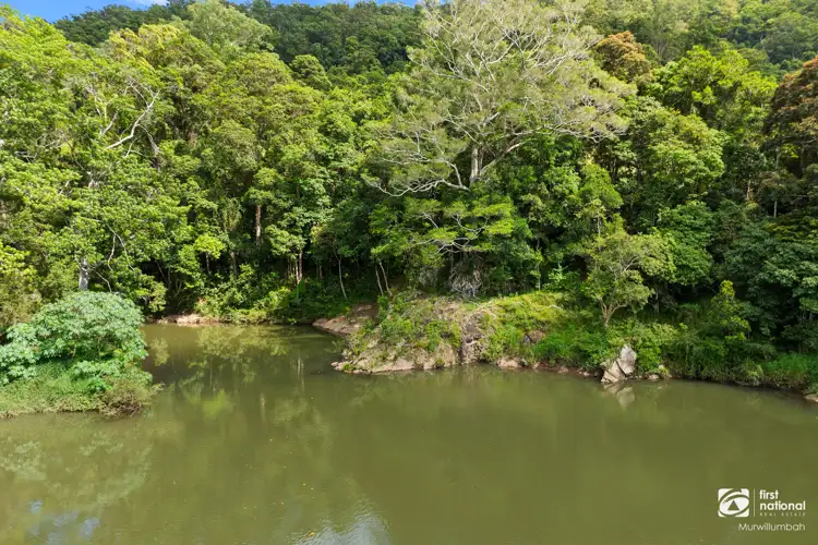 Sixth view of Homely rural property listing, 921 Tyalgum Road, Eungella NSW 2484