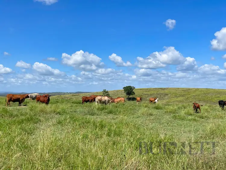 Third view of Homely rural property listing, 159 Kirks Road, Booyal QLD 4671