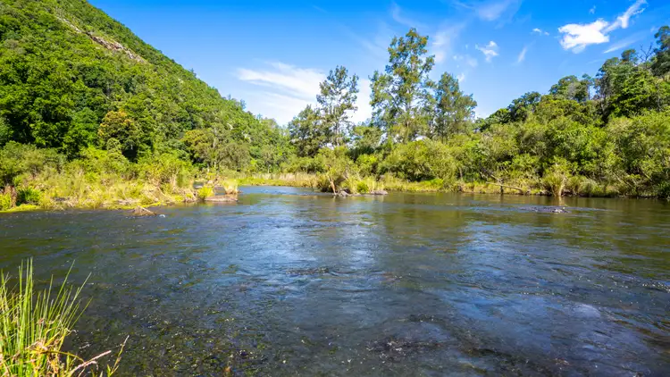 Third view of Homely rural property listing, 668 Cundle Flat Road, Cundle Flat NSW 2424