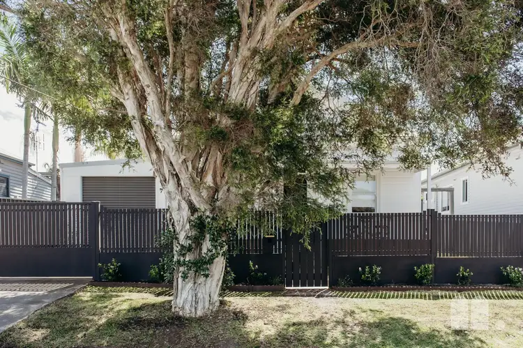 8 Cintra Road, Waratah NSW 2298