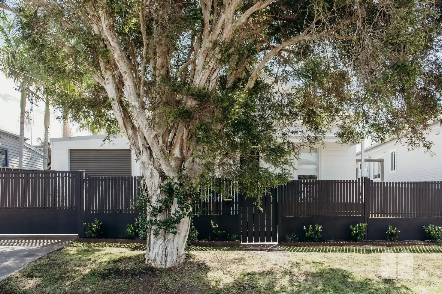 Main view of Homely house listing, 8 Cintra Road, Waratah NSW 2298