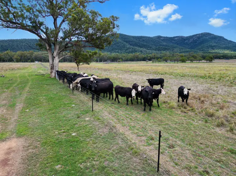Fourth view of Homely rural property listing, 1977 Kelvin Road, Kelvin NSW 2380