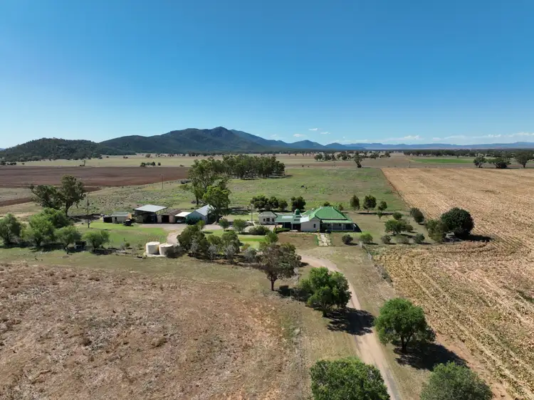 Third view of Homely rural property listing, 1621 Kelvin Road, Gunnedah NSW 2380