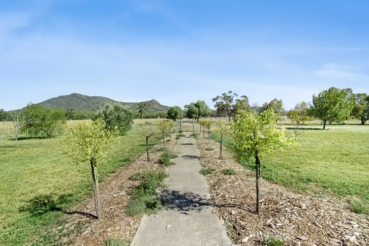 Fourth view of Homely rural property listing, 1621 Kelvin Road, Gunnedah NSW 2380