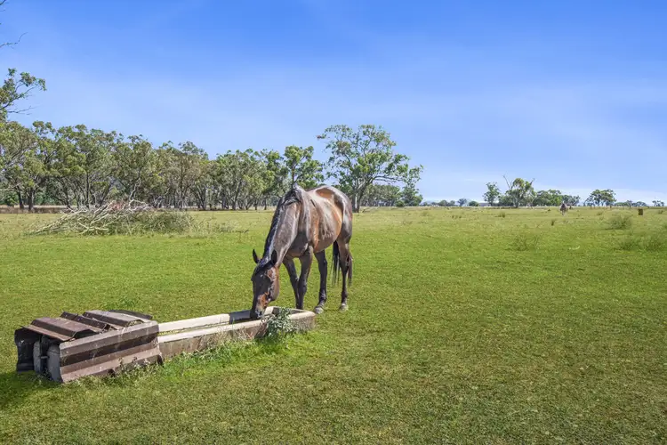 Seventh view of Homely rural property listing, 1621 Kelvin Road, Gunnedah NSW 2380
