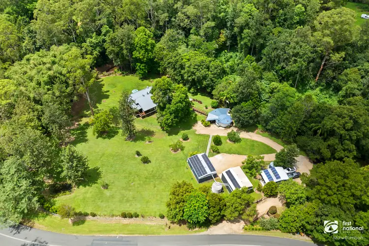 3589 Kyogle Road, Mount Burrell NSW 2484