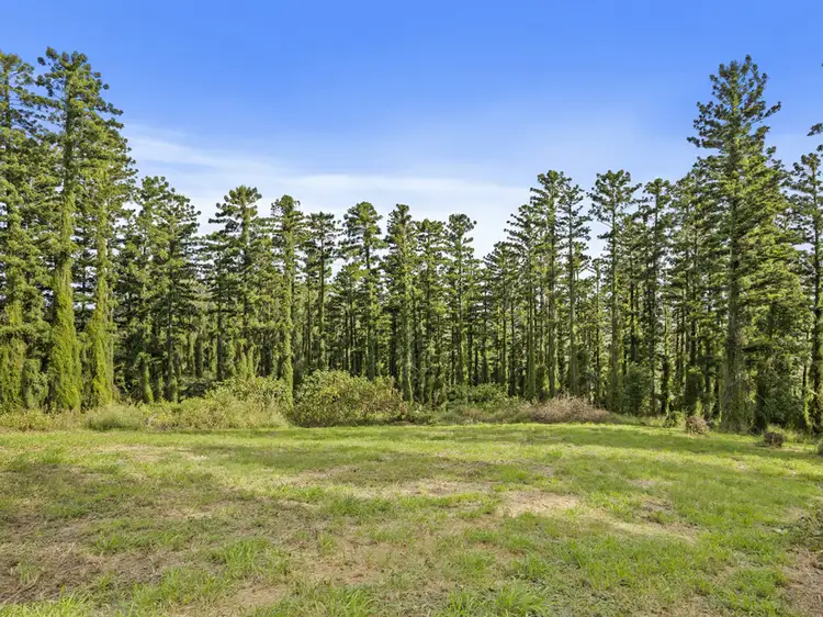 Second view of Homely land listing, 312-356 Rosewood Marburg Road, Tallegalla QLD 4340