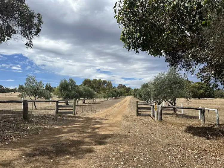 Main view of Homely rural property listing, 30803 Albany Highway, Mount Barker WA 6324
