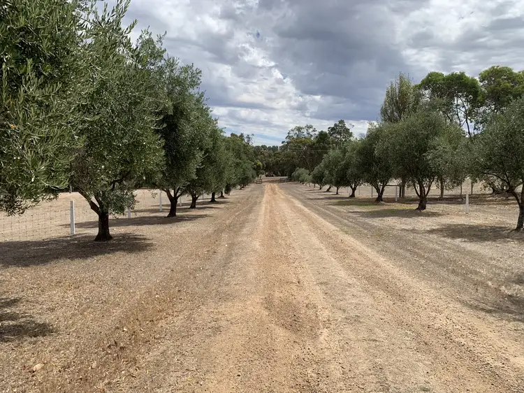 Second view of Homely rural property listing, 30803 Albany Highway, Mount Barker WA 6324