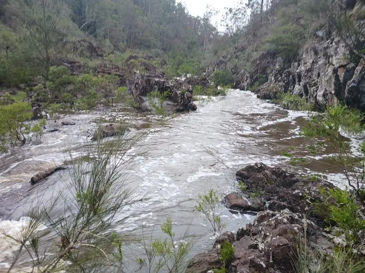 Third view of Homely rural property listing, 625 Sugarbag rd (east ), Tabulam NSW 2469