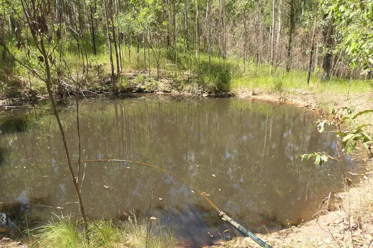 Fifth view of Homely rural property listing, 625 Sugarbag rd (east ), Tabulam NSW 2469