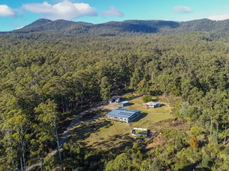 Main view of Homely rural property listing, 150 Mountain Road, Lilydale TAS 7268