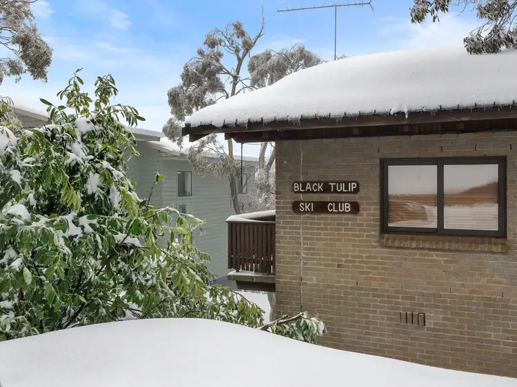 Second view of Homely apartment listing, 2/37 The Avenue, Mount Buller VIC 3723