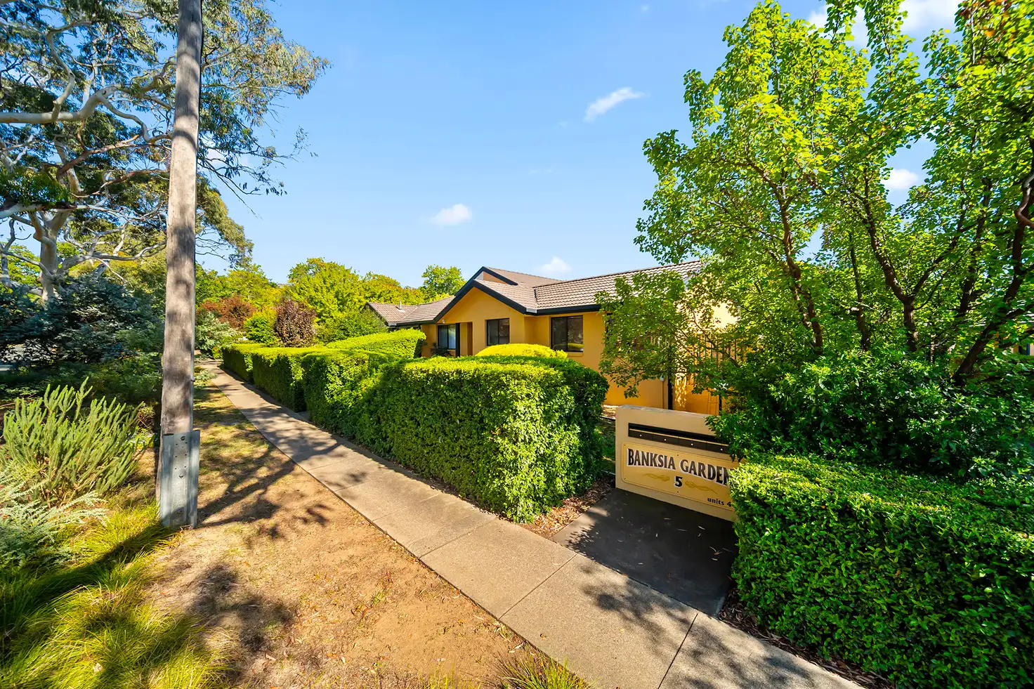Main view of Homely townhouse listing, 4/5 Banksia Street, O'connor ACT 2602