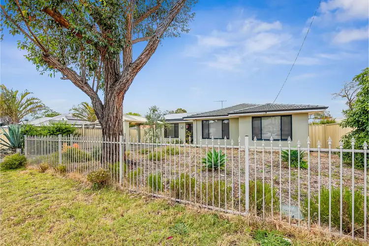 Second view of Homely house listing, 3A Brandon Way, Lynwood WA 6147
