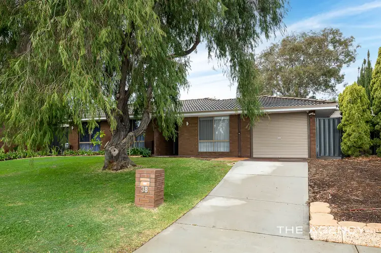 Main view of Homely house listing, 38 Macquarie Avenue, Padbury WA 6025
