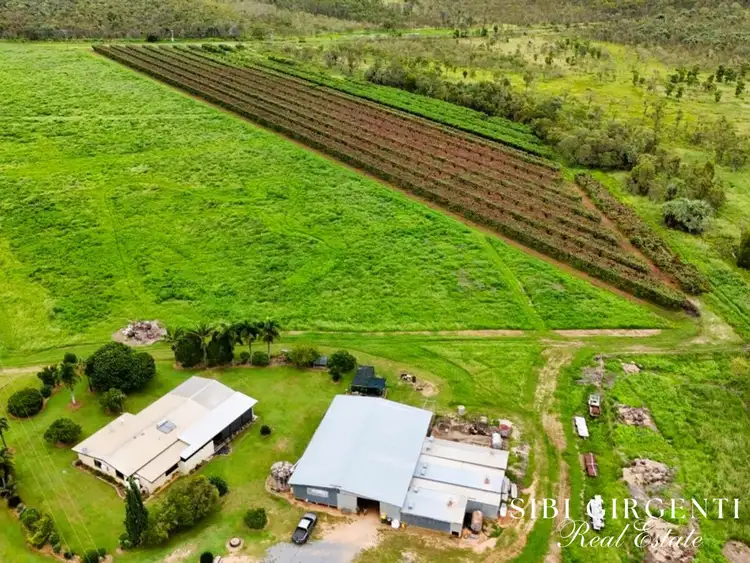 994 Leafgold Weir Road, Dimbulah QLD 4872