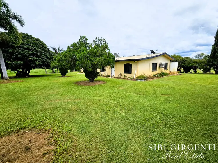 Sixth view of Homely rural property listing, 994 Leafgold Weir Road, Dimbulah QLD 4872