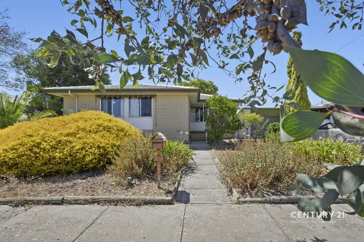 Second view of Homely house listing, 16 Joel Street, Morphett Vale SA 5162